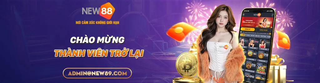 Hình ảnh minh họa form đăng nhập an toàn của newba5