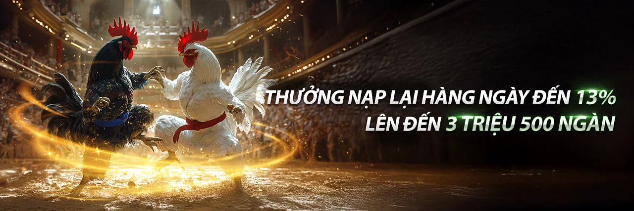 Tổng quan các ưu đãi độc quyền tại Newba5