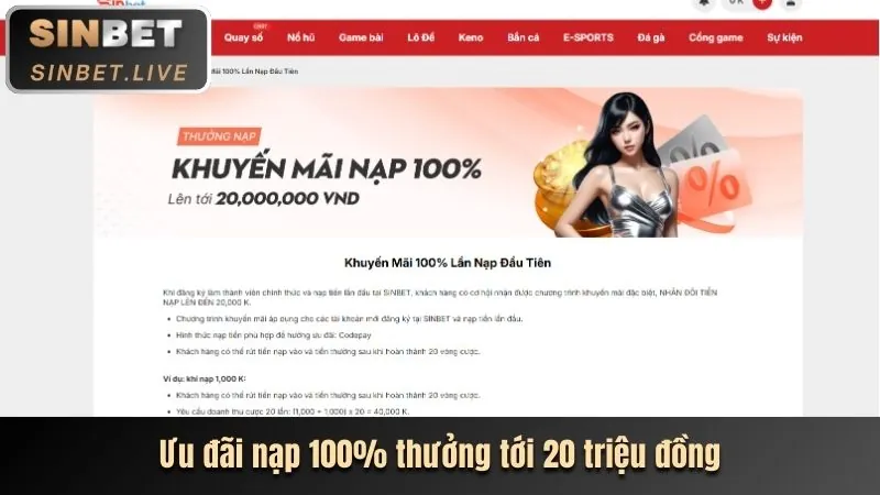 Ưu đãi mới nhất Newba5